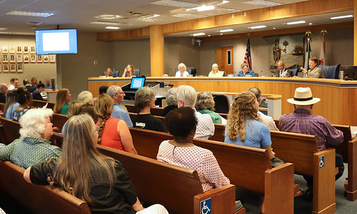 citizens in a townhall meeting