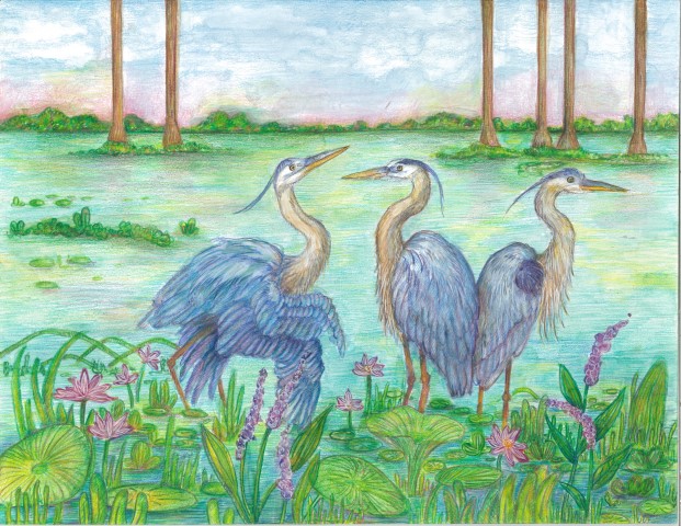 Cecilia Duda, High School, 1st Place & Calendar Selection
