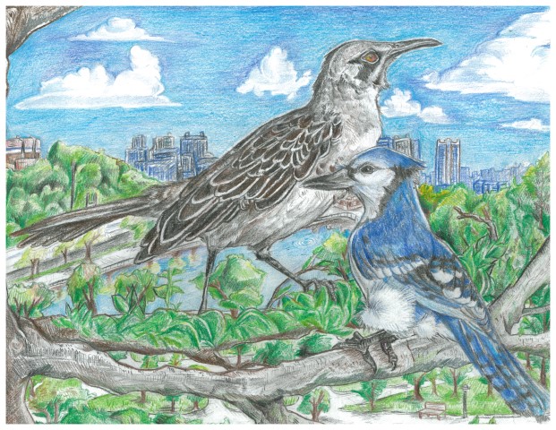 Rachel Xu, High School, 1st Place & Calendar Selection