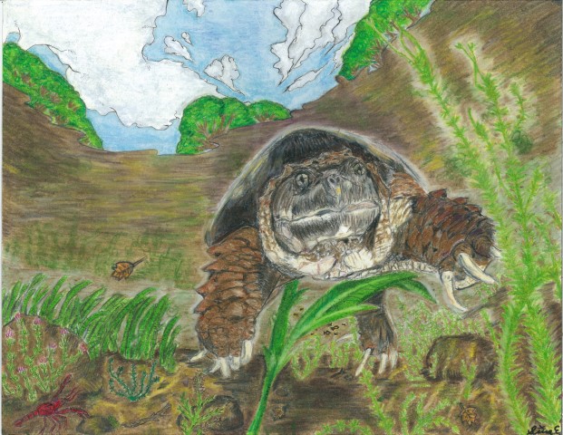 Sina Etemadi, High School, 2nd Place & Calendar Selection