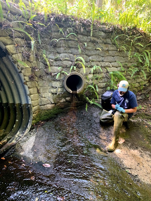 A field technician kneels beside a small outfall pipe where water is trickling onto the ground, collecting a sample in a wooded area with ferns and vegetation growing along the retaining wall.
