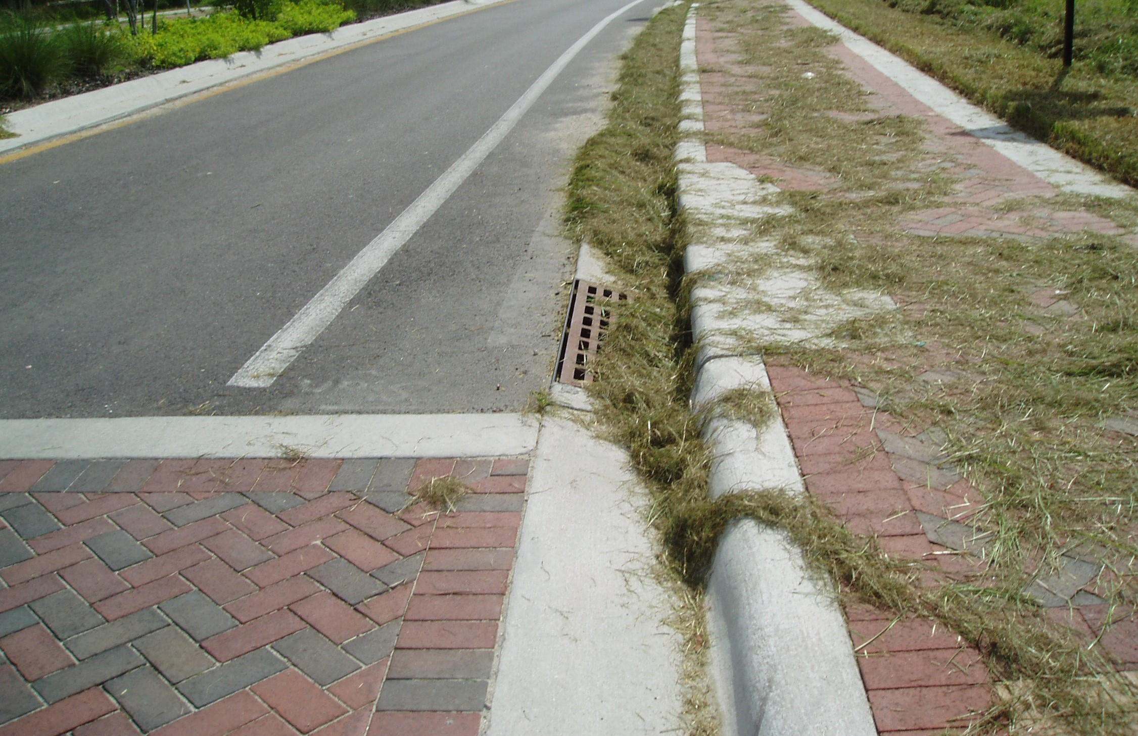grass clippings on sidewalk and stormdrain