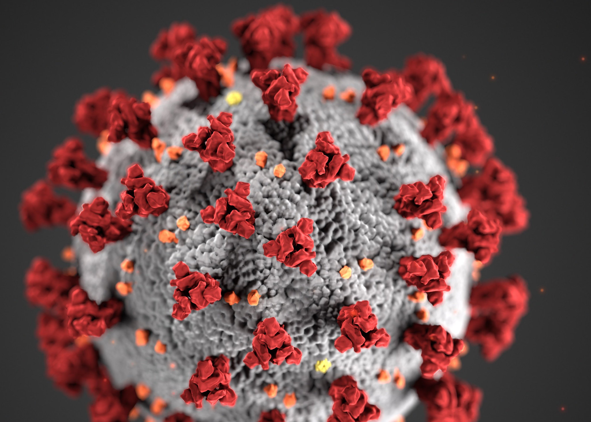 Coronavirus Update