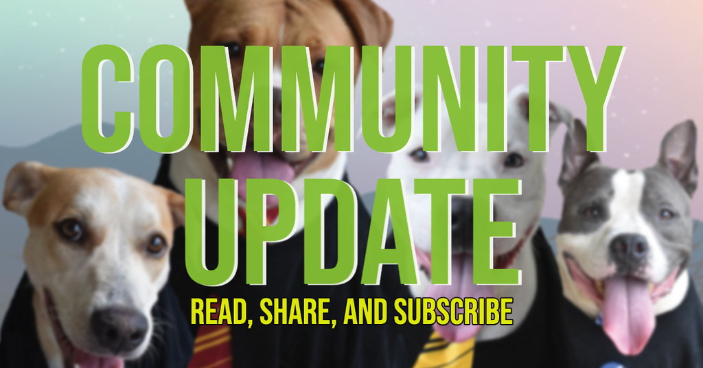 Community Update Newsletter