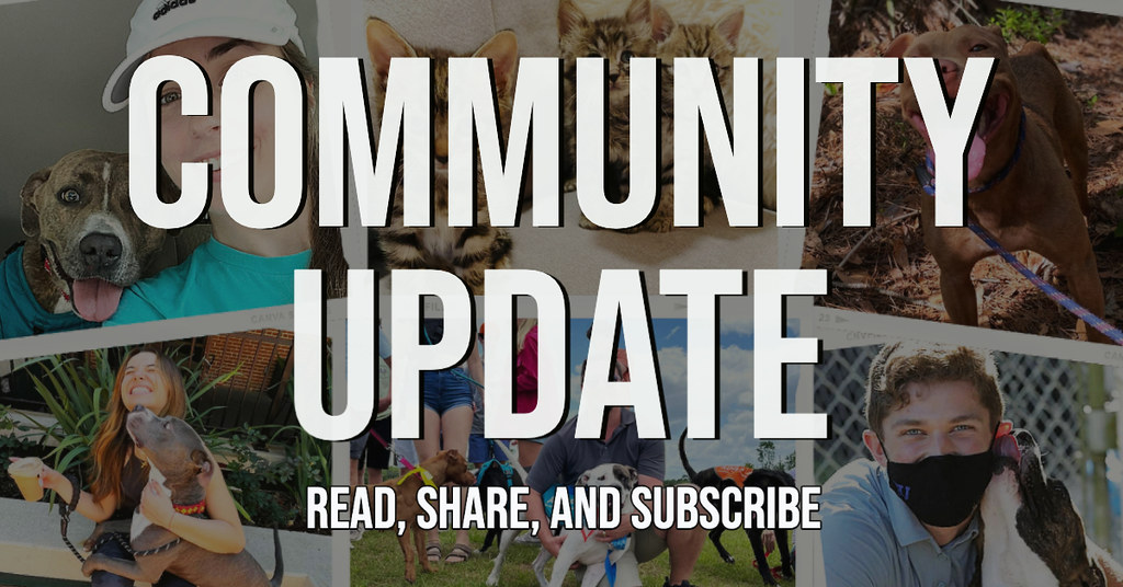 06-21-22 Community Update Newsletter