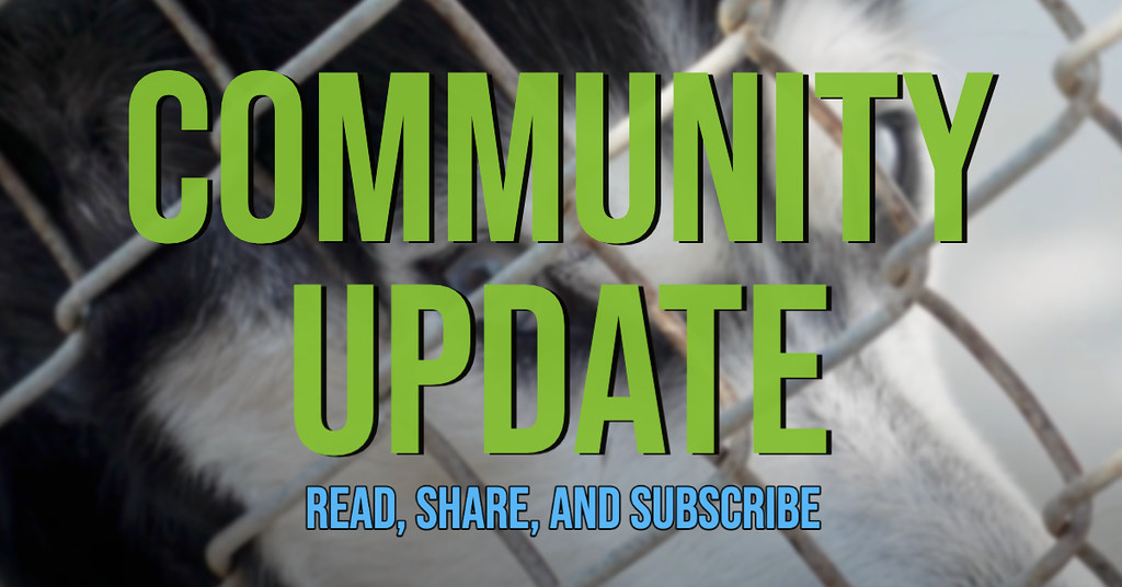 12-20-22 Community Update Newsletter