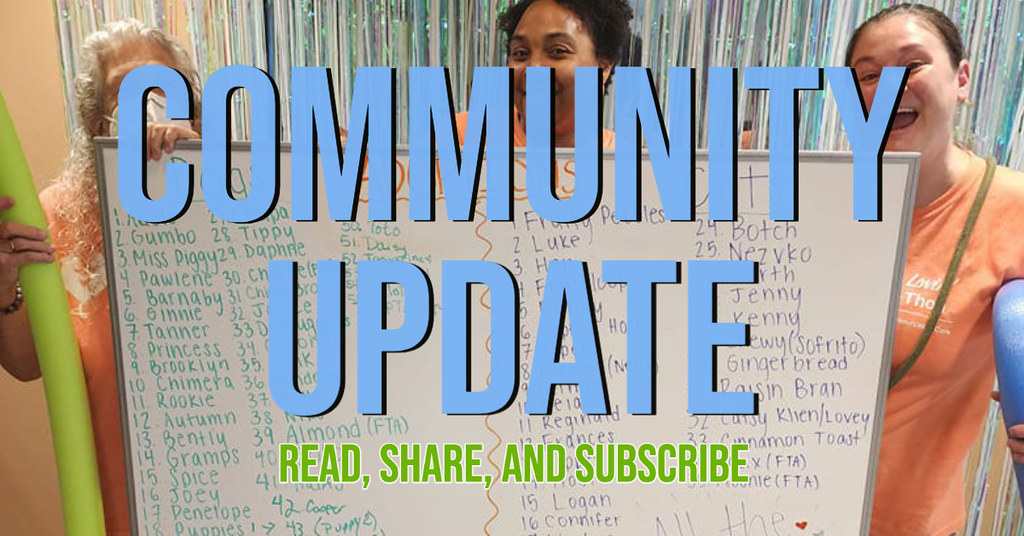 8-14-23 Community Update Newsletter