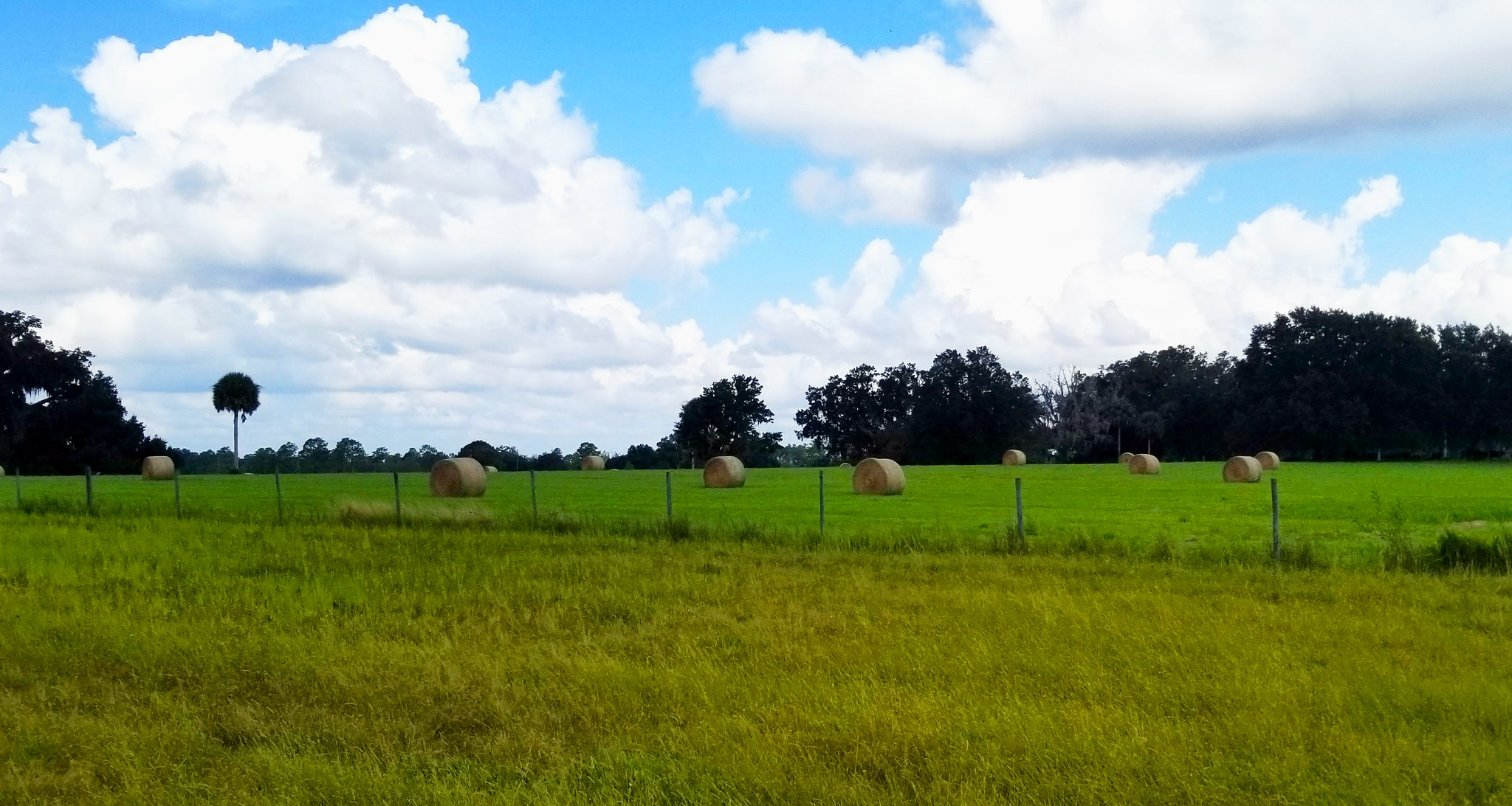 farmland