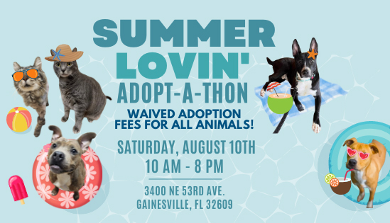 Summer Lovin Adoption event