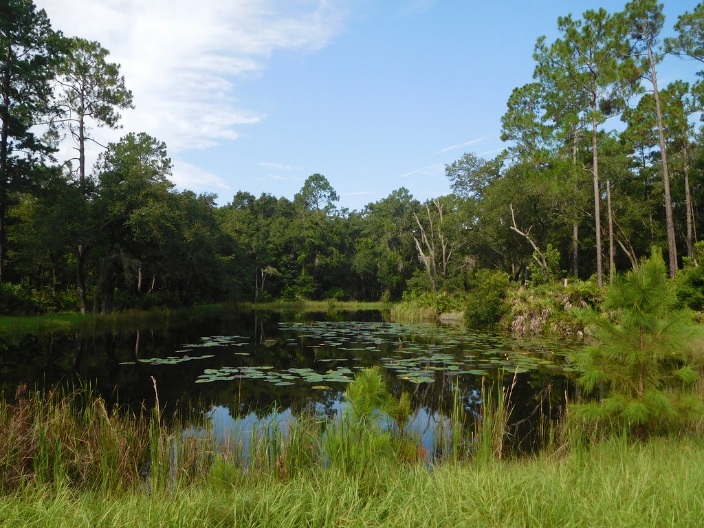 Black Lake Preserve