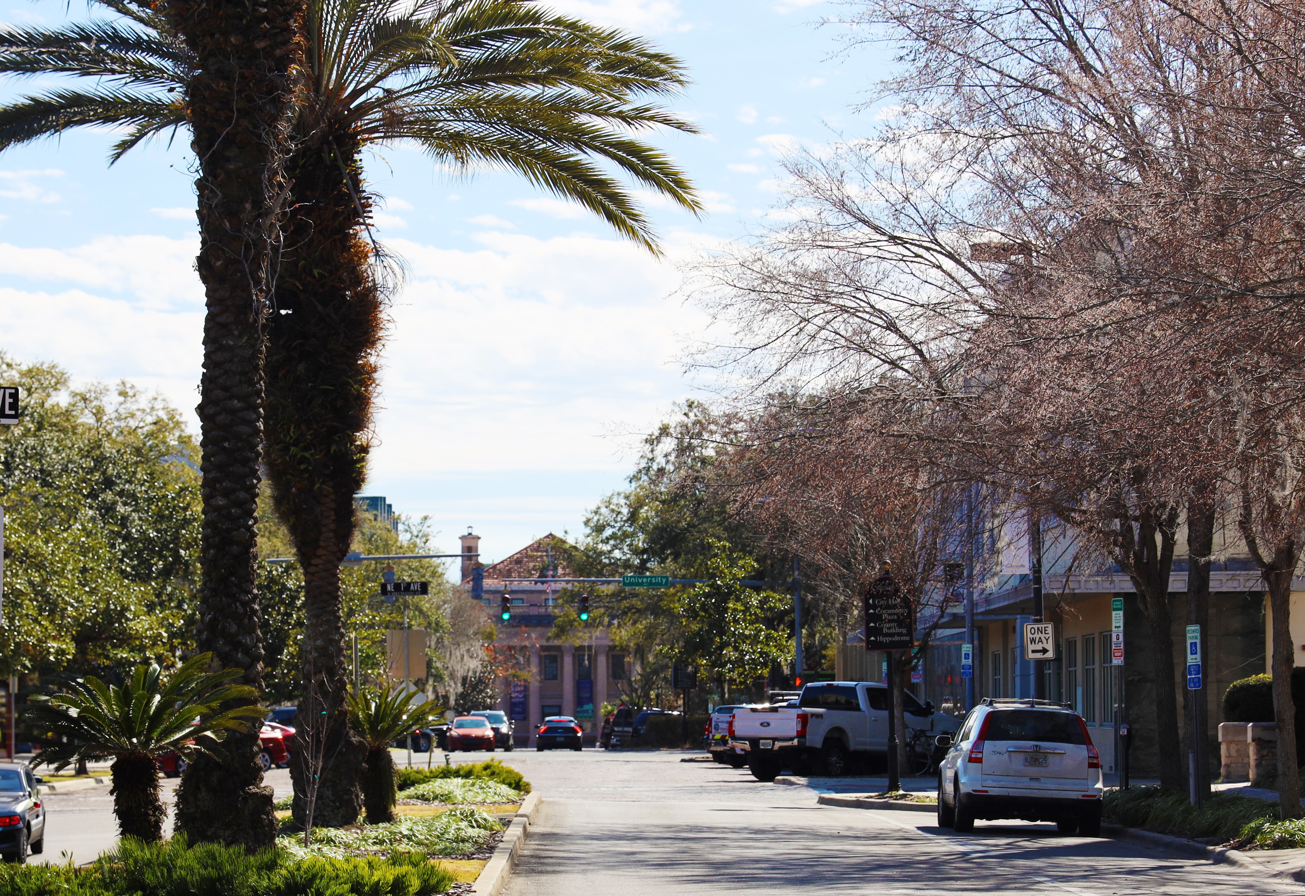 Picture of Downtown Gainesville, Florida