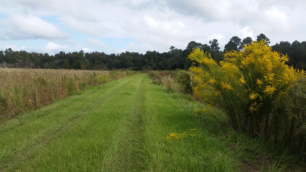 Levy Loop trail photo