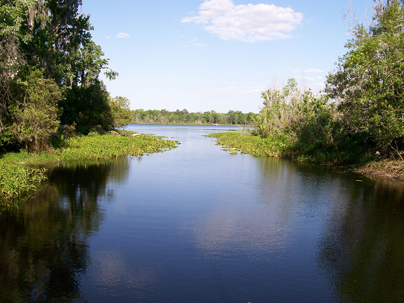 Holden Pond