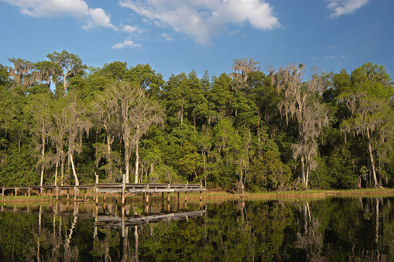 Larry Korhnak Lake Alto Preserve