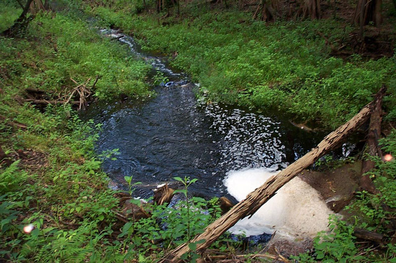 Mill Creek Nature Preserve