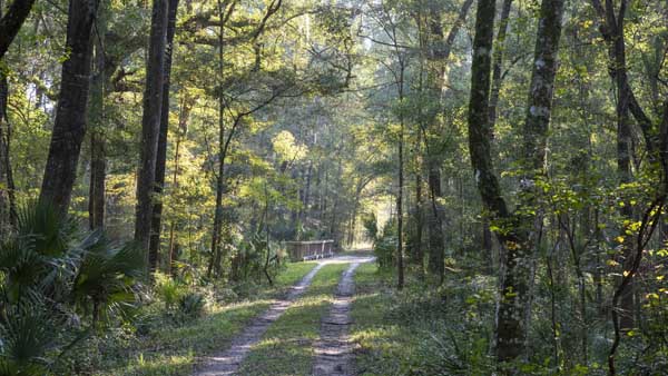 Turkey Creek Preserve