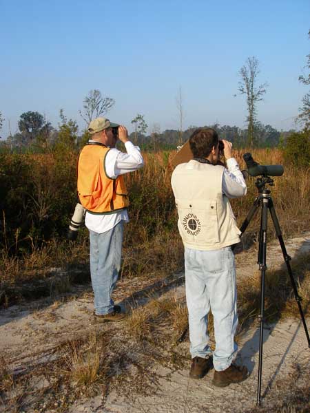 Michael Drummond and Steve Hofstetter during Christmas bird count at Barr Hammock